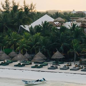 Casa Las Tortugas Petit Beach Hotel&Spa